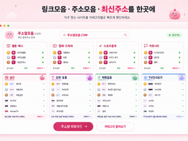 방문자 기반 사이트 순위 확인 전 반드시 체크해야 할 기준