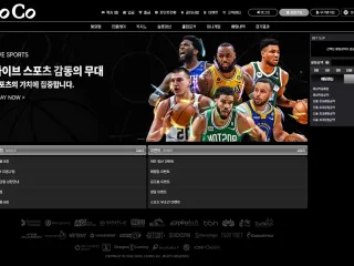 코코카지노 먹튀사이트 피해 사례