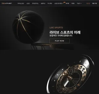 알파벳 먹튀사이트 피해 사례