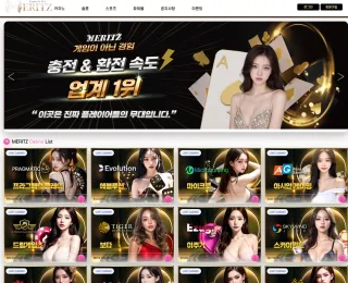 메리츠 먹튀사이트 피해 사례