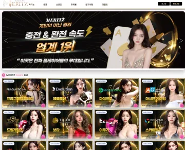 메리츠 대표 이미지
