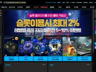 탐정 먹튀사이트 피해 사례