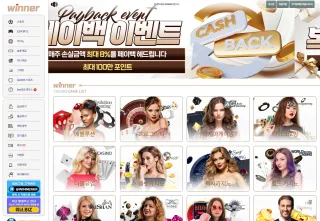 위너 먹튀사이트 피해 사례