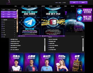 스타링크 먹튀사이트 피해 사례