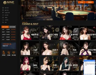 나인카지노 먹튀사이트 피해 사례