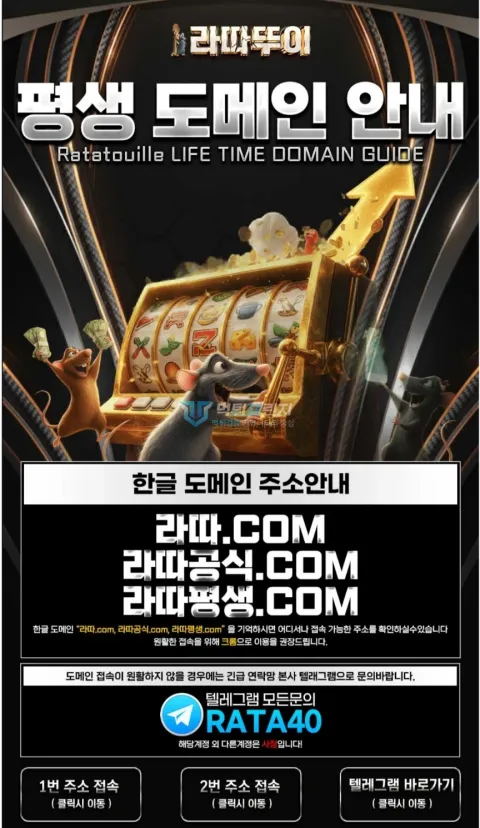 라따뚜이 신고자가 공개한 라따뚜이 도메인 안내