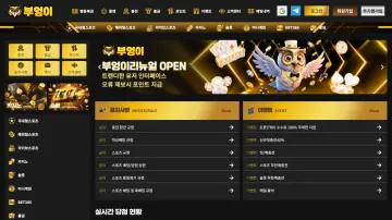 부엉이 현재 도메인의 첫 화면을 전체 비율로 담은 대표 이미지