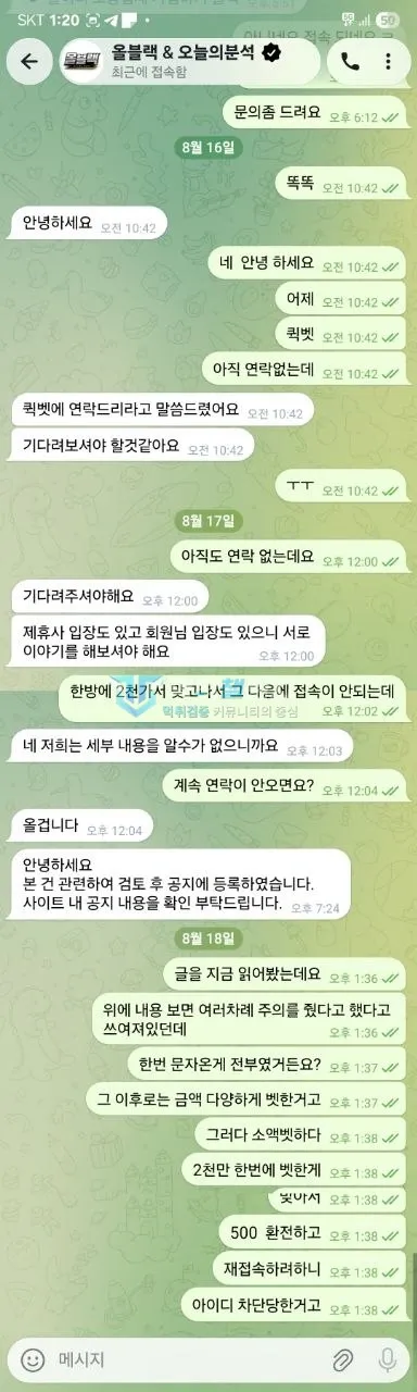 큐어벳 추천 경로에 환전 문제를 알린 대화