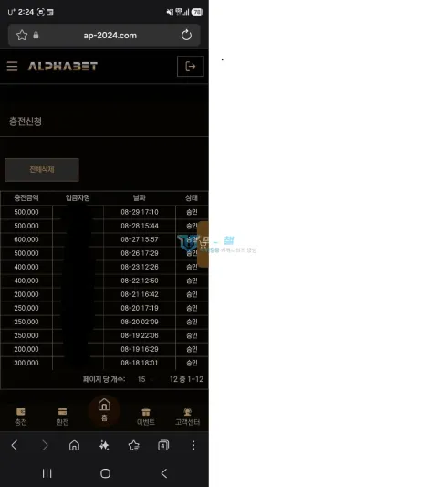 알파벳 과거 충전 내역