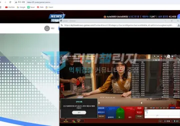 뉴스카지노 news-91.com 140만원 검수 9일 뒤 계정 차단 피해 뉴스카지노 뉴스카지노 계정과 에볼루션 바카라 게임 기록 화면
