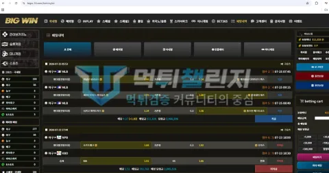 빅윈 빅윈 피해 신고에 첨부된 배팅·환전·상담 자료 1