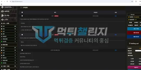 빅윈 빅윈 피해 신고에 첨부된 배팅·환전·상담 자료 3