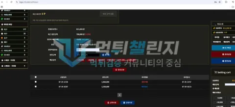 빅윈 빅윈 피해 신고에 첨부된 배팅·환전·상담 자료 5