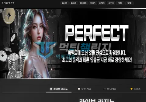 퍼펙트 퍼펙트 피해 신고에 첨부된 배팅·환전·상담 자료 2