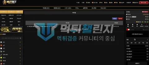 너트벳 너트벳 피해 신고에 첨부된 배팅·환전·상담 자료 2