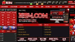 피크닉 먹튀사이트 피해 사례