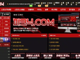 피크닉 먹튀사이트 피해 사례