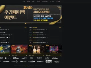 3050 먹튀사이트 피해 사례