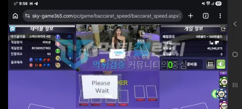 스카이파크 먹튀 스피드바카라 4번 테이블 게임 중단 화면