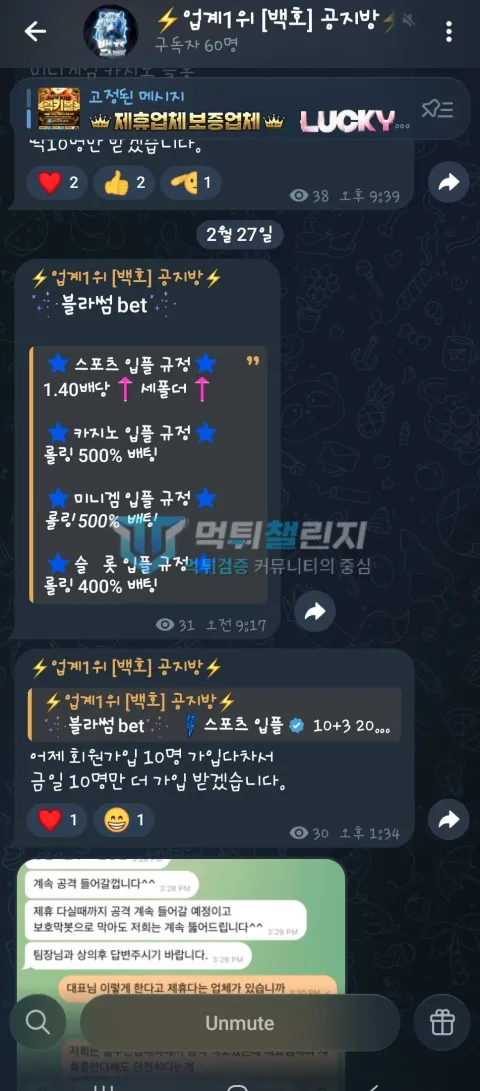 블라썸벳 먹튀 백호 공지방 블라썸벳 홍보 글