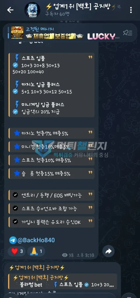 블라썸벳 먹튀 공지방 입금 플러스 이벤트 안내