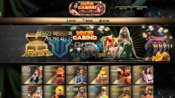 나이스카지노 먹튀검증 결과