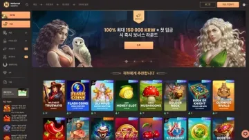 내셔널카지노 사이트 화면