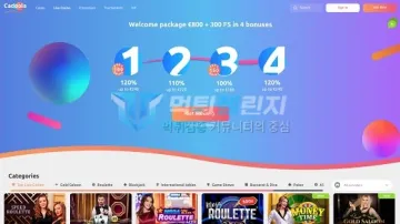 카둘라카지노 먹튀검증 결과