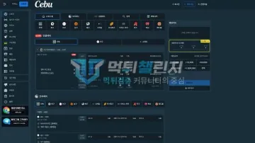 세부 먹튀검증 결과