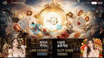 스카이카지노 먹튀검증 결과