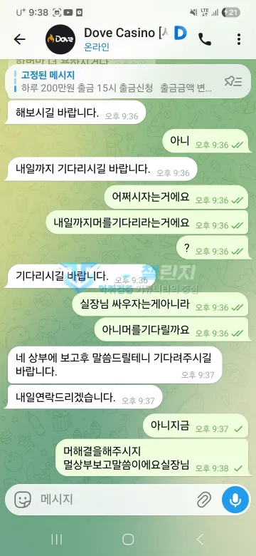 도브 먹튀 증거 - 텔레그램 대화 - 상부 보고 후 내일 연락 안내