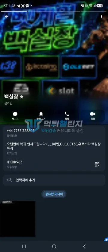 루나 먹튀 증거 - 텔레그램 프로필 - 백실장 소개 문구