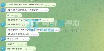 망고 먹튀 증거 - 텔레그램 대화 - 370만원 테더 환전 요구 대화