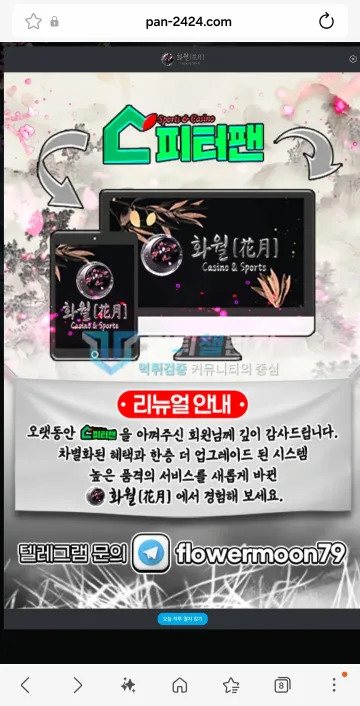 피터팬 먹튀 증거 - 사이트 팝업 - 화월 리뉴얼 안내 이미지